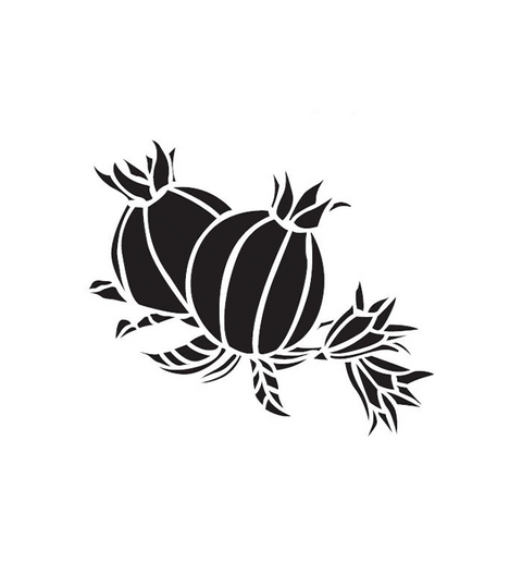 Pomegranate Stencil